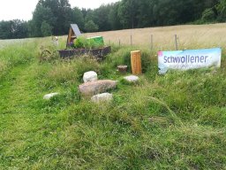 Blumenwiese