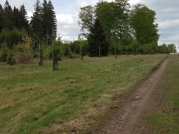 Langweiler