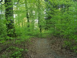 Langweiler
