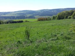 Langweiler