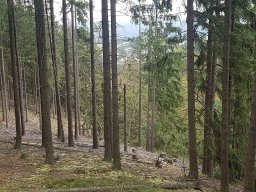 Langweiler