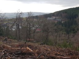 Langweiler